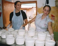 Welcome to the Schvartzman farm website!