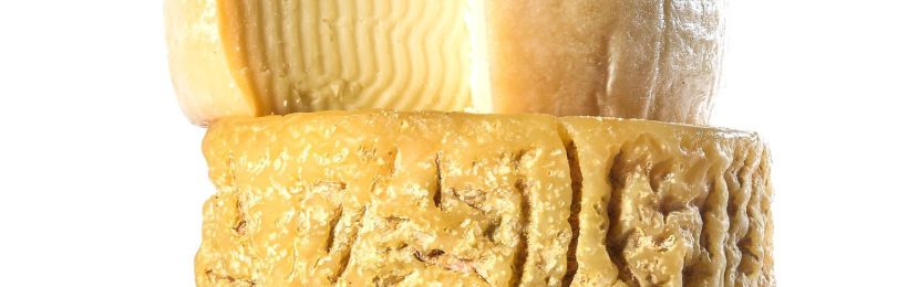 גבינות מחלב כבשים המיוצרות במחלבת שוורצמן