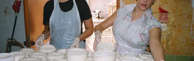Welcome to the Schvartzman farm website!